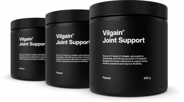 Vilgain Joint Support –  3× papája 360 g