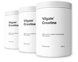 Vilgain Kreatin –  3× bez příchutě 500 g