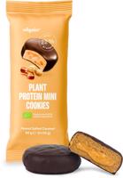 Vilgain Plant Protein Mini Cookies BIO – Arašídy se slaným karamelem 50 g (2 x 25 g)